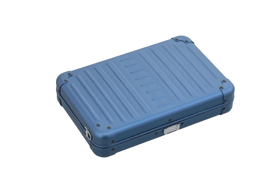 Aleon Large Personal Cross Body Case