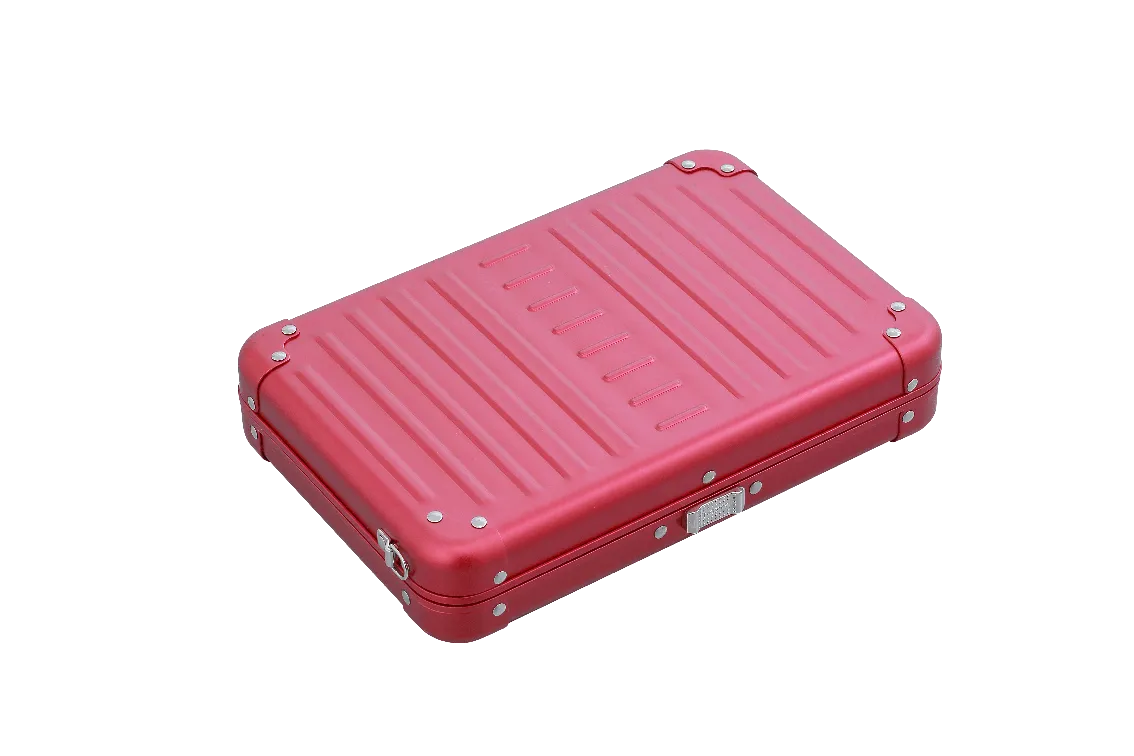 Aleon Large Personal Cross Body Case